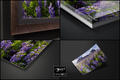 The Best Photography Print Mediums