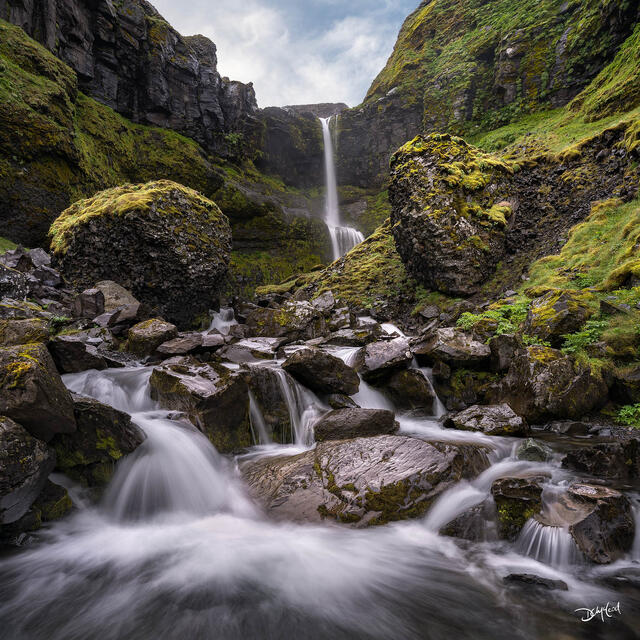 Bugsfoss
