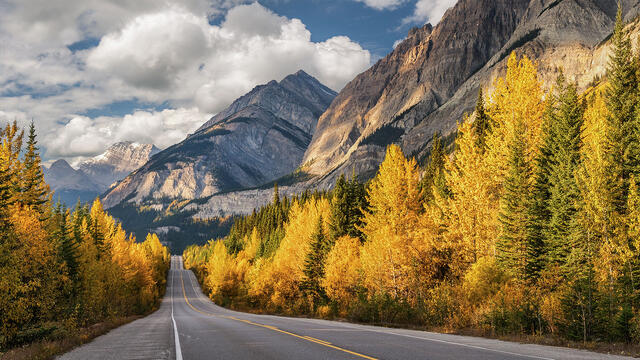 Icefields Parkway Photography Guide: 25 Best Photo Locations