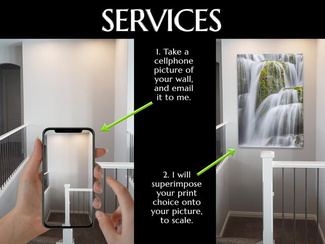 Services