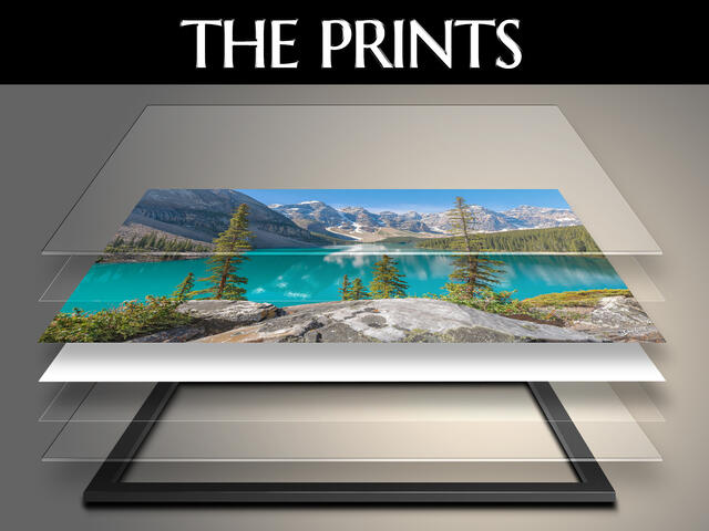 The Prints