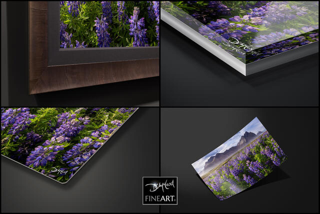 The Best Photography Print Mediums