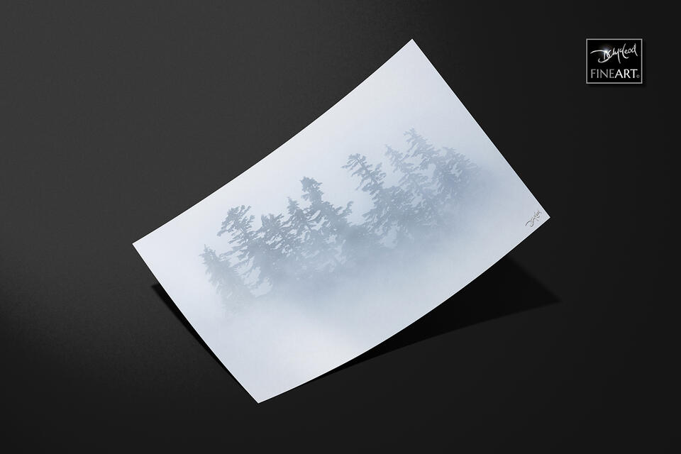  print preview