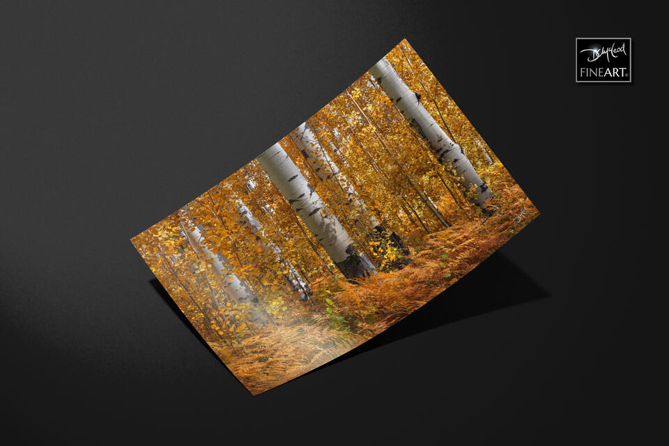 print preview