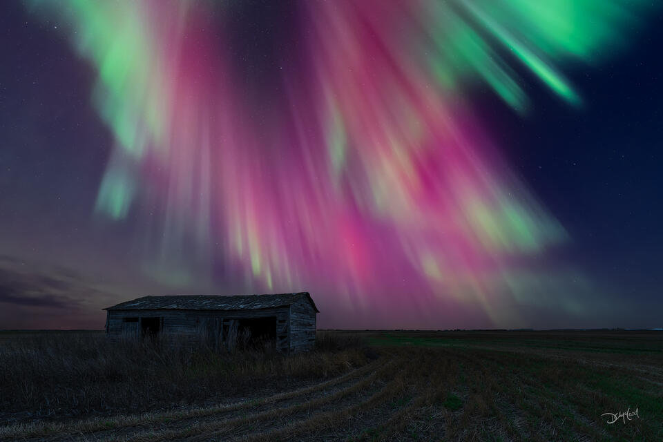Aged farm building under aurora in Saskatchewan, Canada.