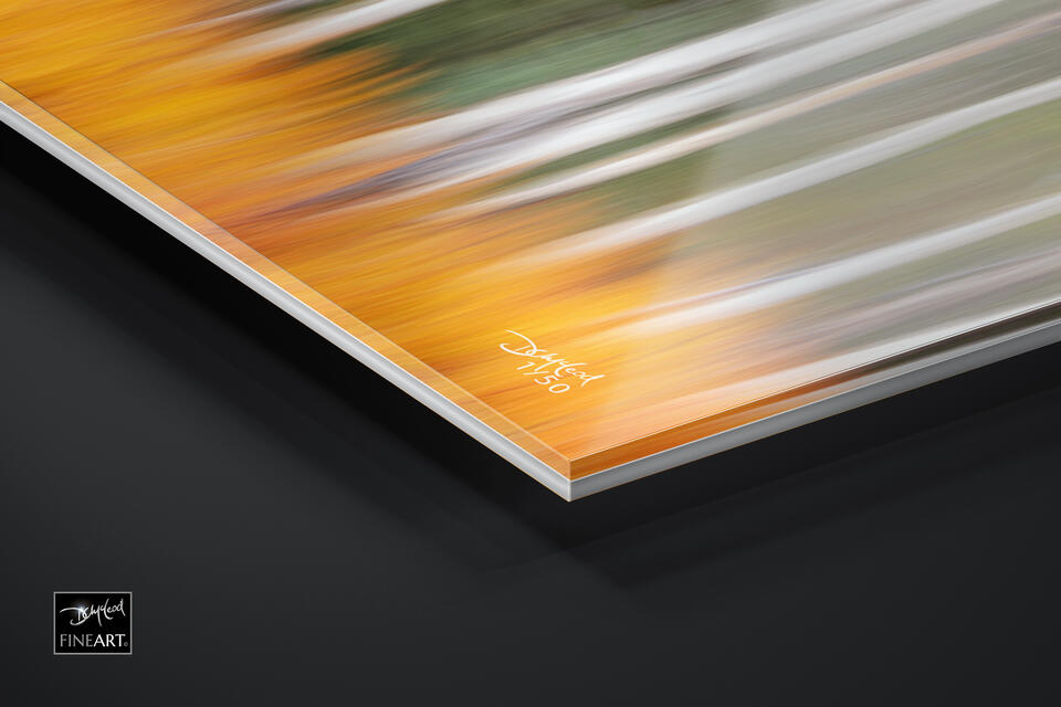  print preview