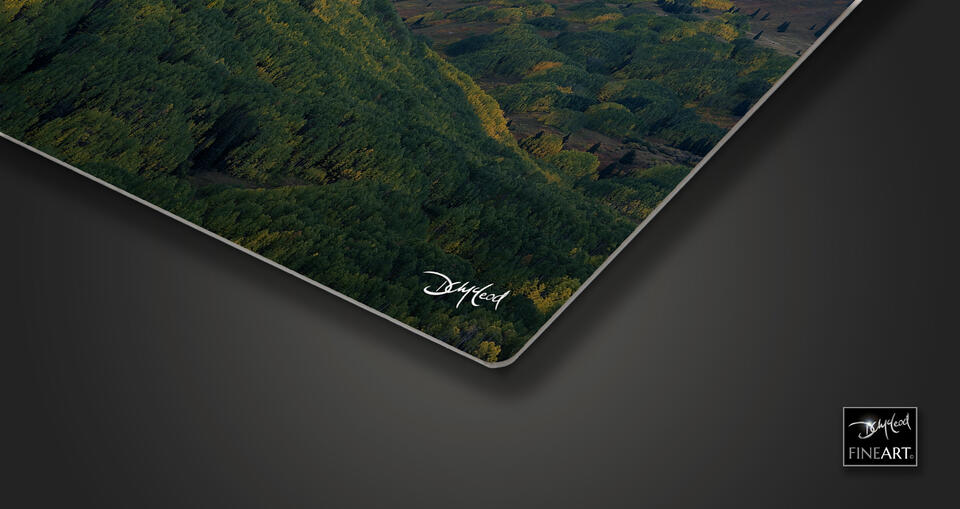 print preview