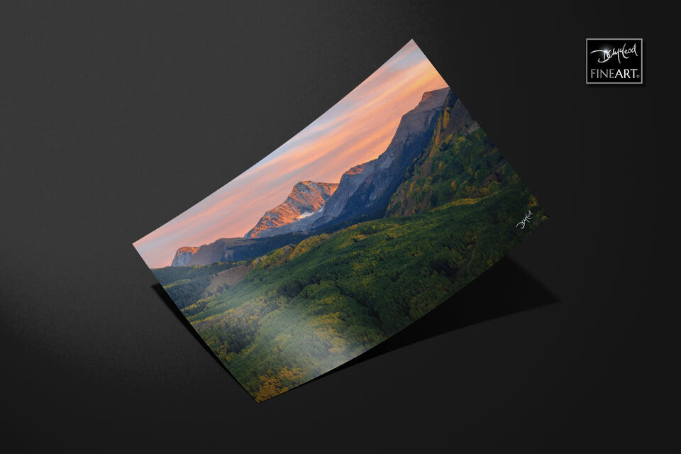 print preview
