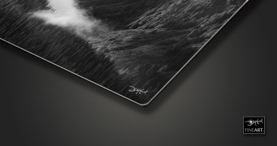print preview
