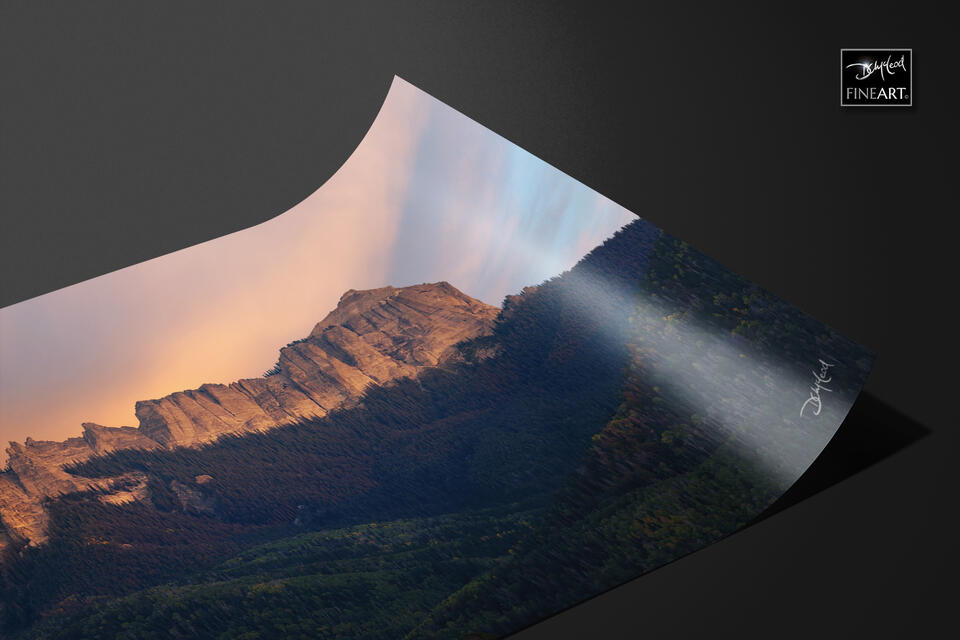 print preview