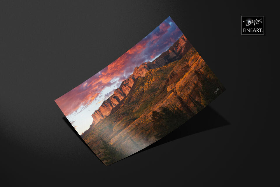  print preview