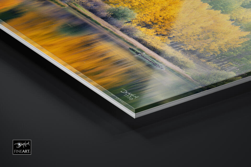 print preview