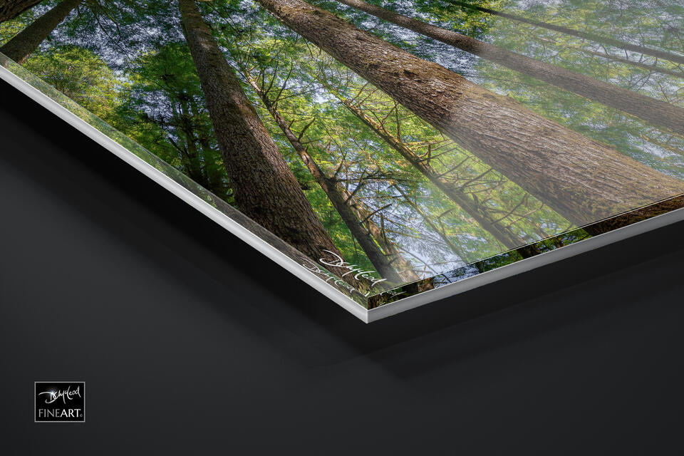 print preview