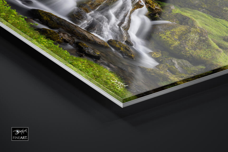 print preview
