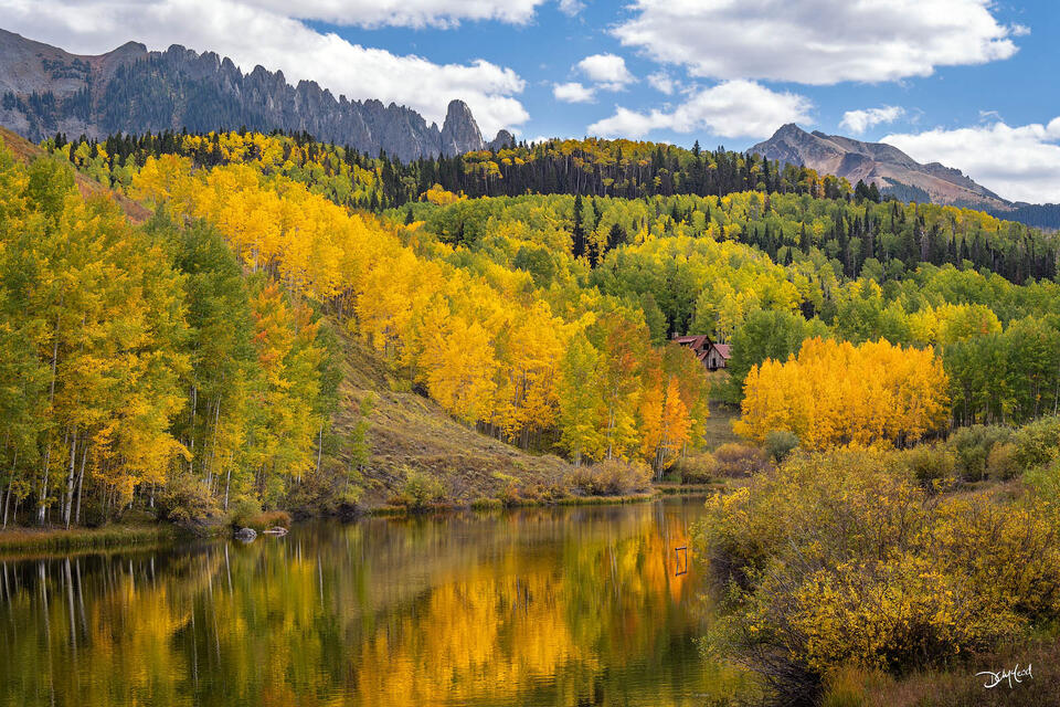 Aspen trees reflecting in Cushman Lake in Colorado, USA.