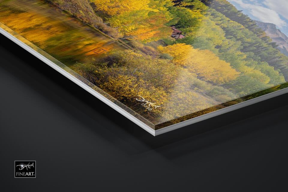 print preview