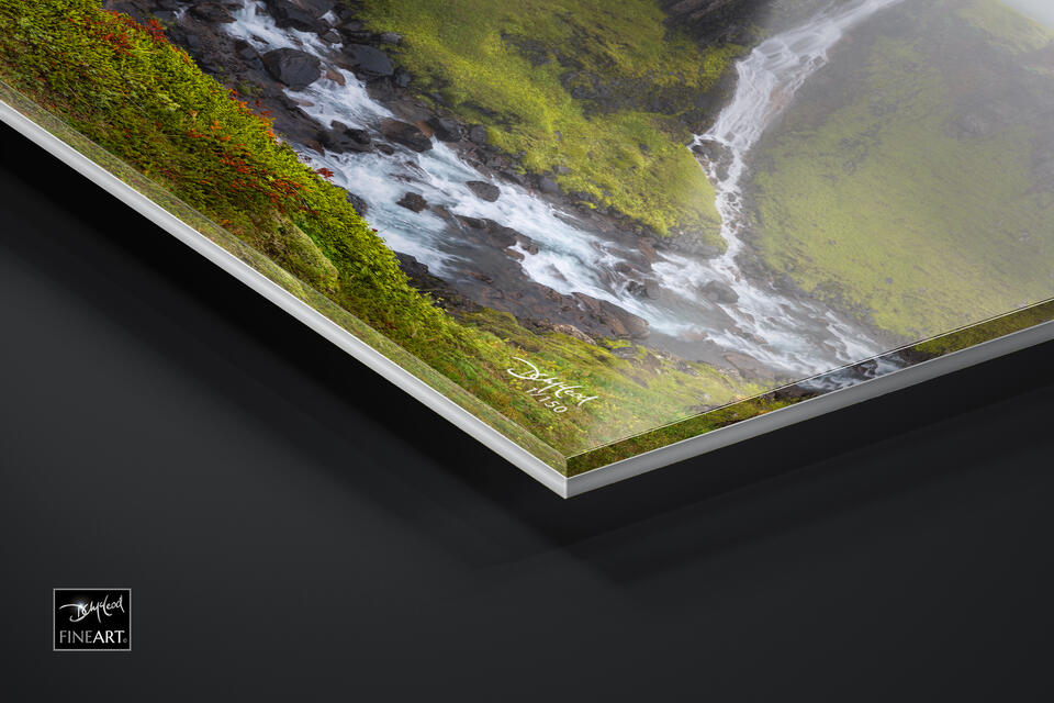 print preview