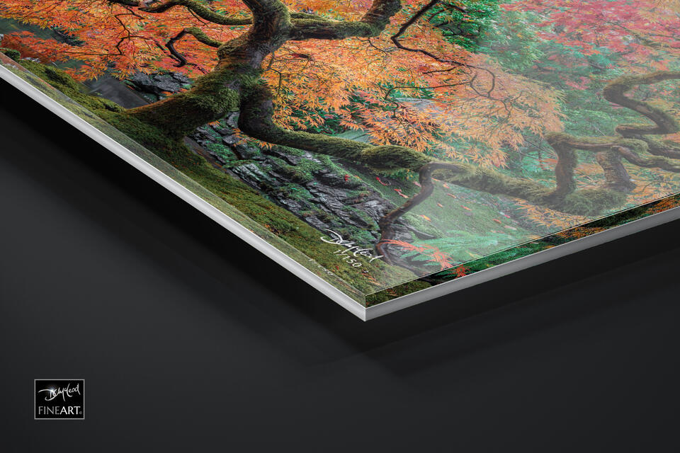  print preview