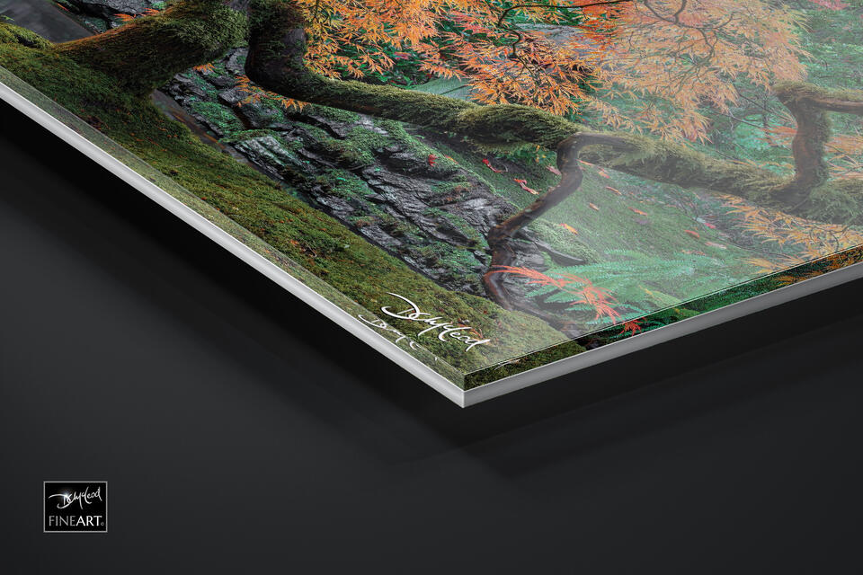 print preview