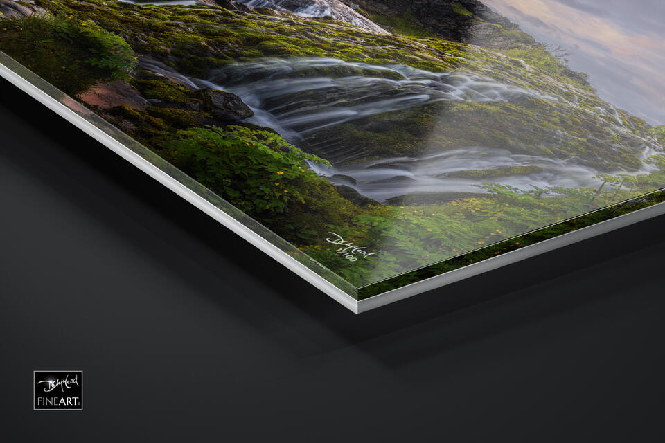 print preview