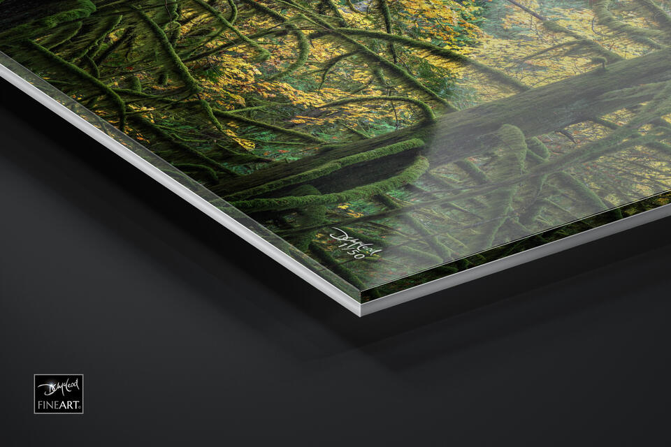 print preview