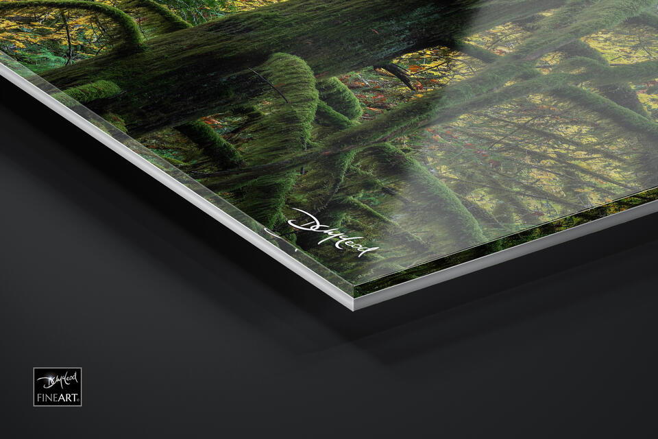 print preview
