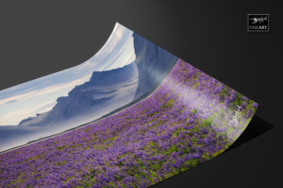  print preview