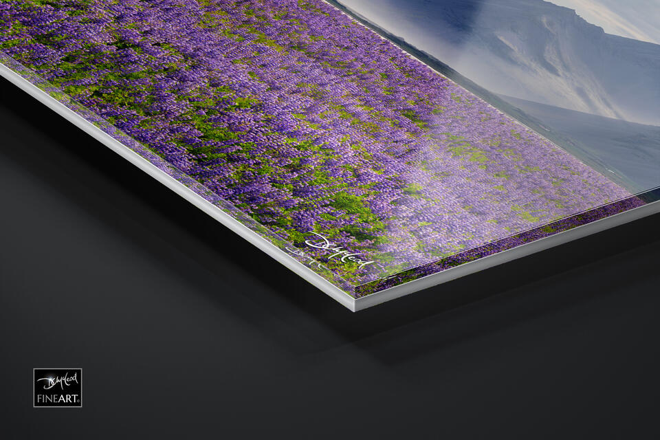  print preview