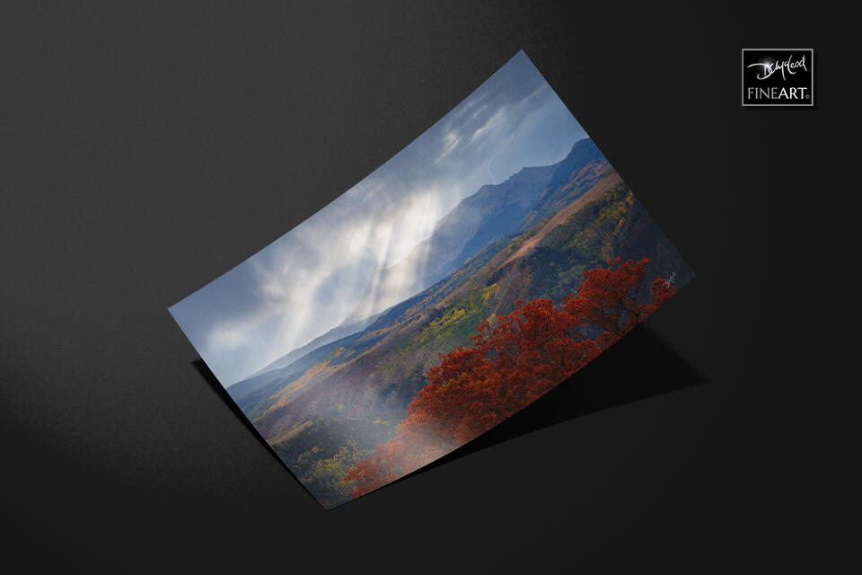 print preview