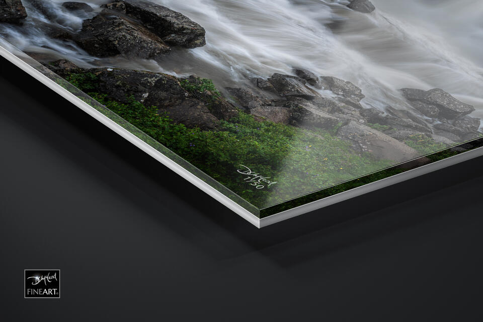  print preview