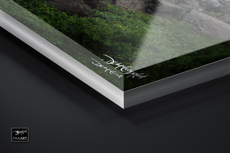  print preview