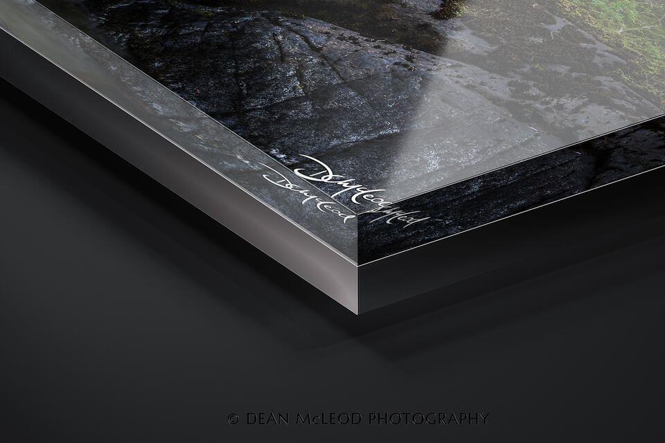  print preview