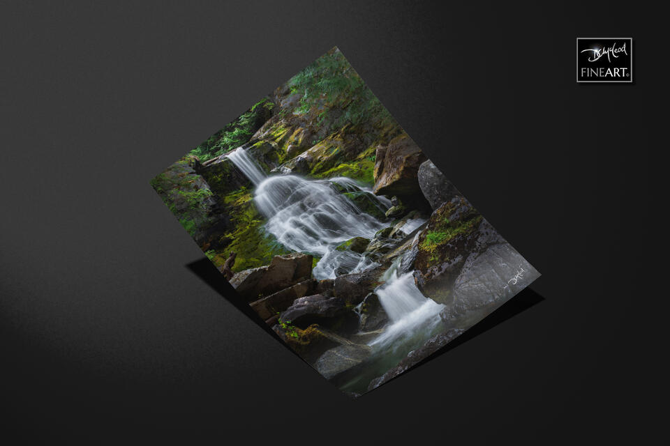  print preview