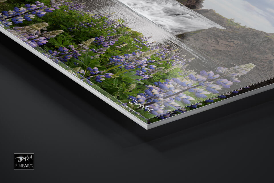 print preview