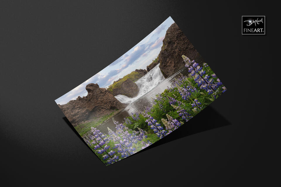 print preview