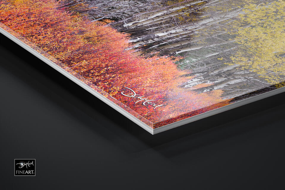 print preview