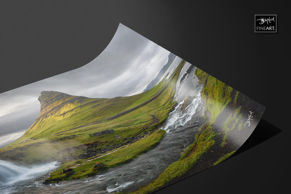  print preview