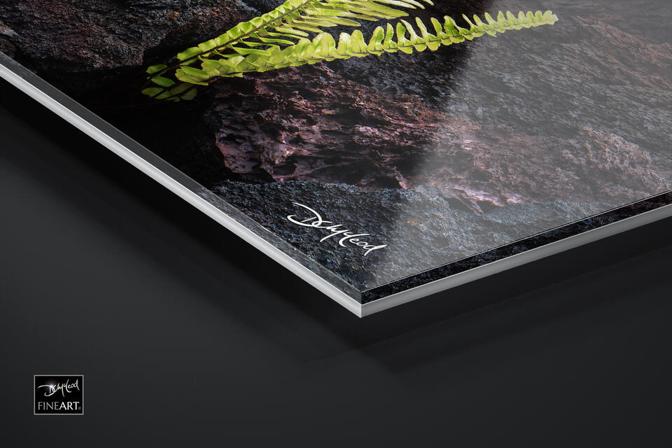 print preview