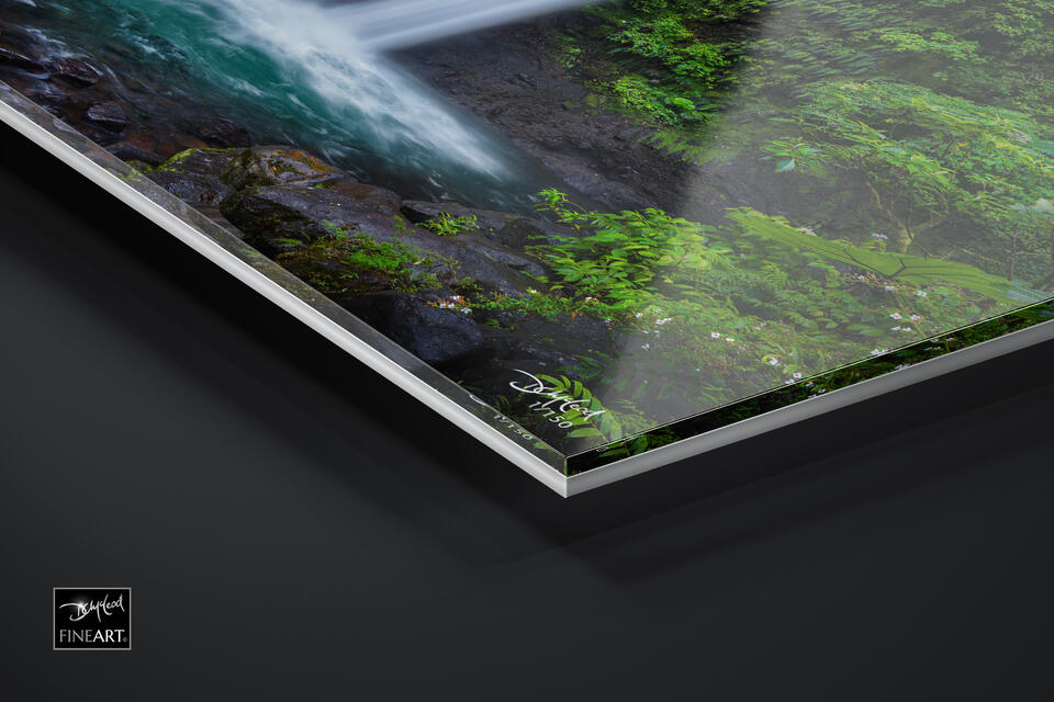 print preview