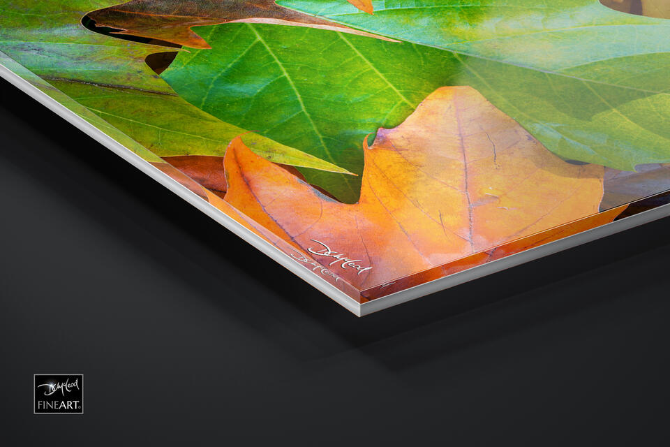 print preview
