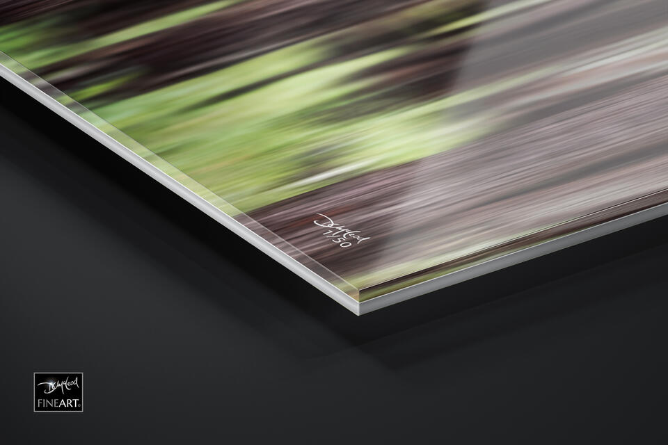 print preview