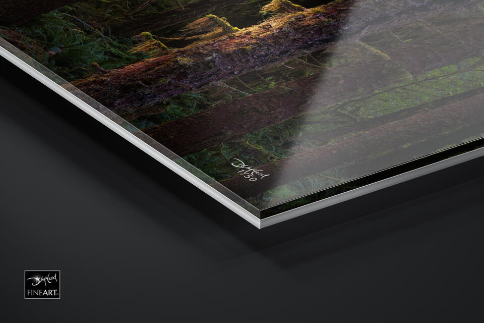 print preview