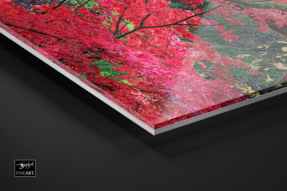 print preview