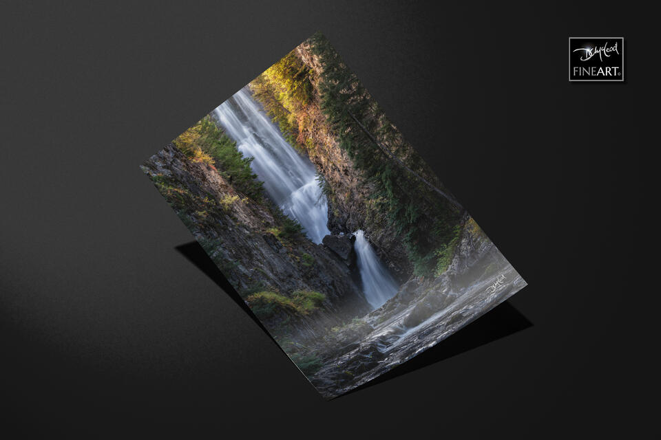  print preview