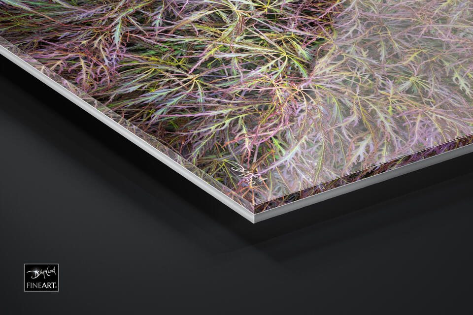  print preview