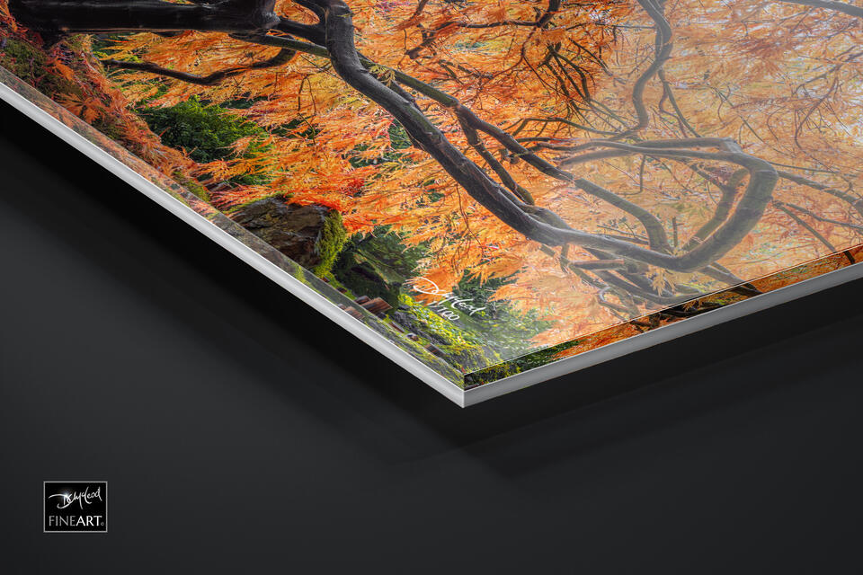 print preview