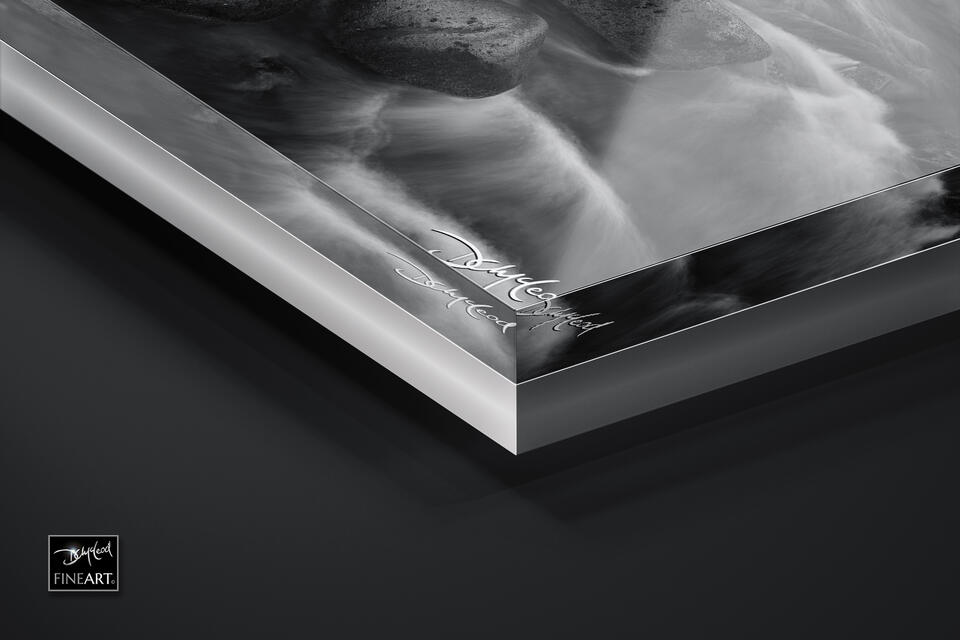  print preview