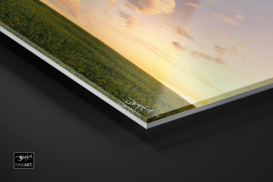 print preview
