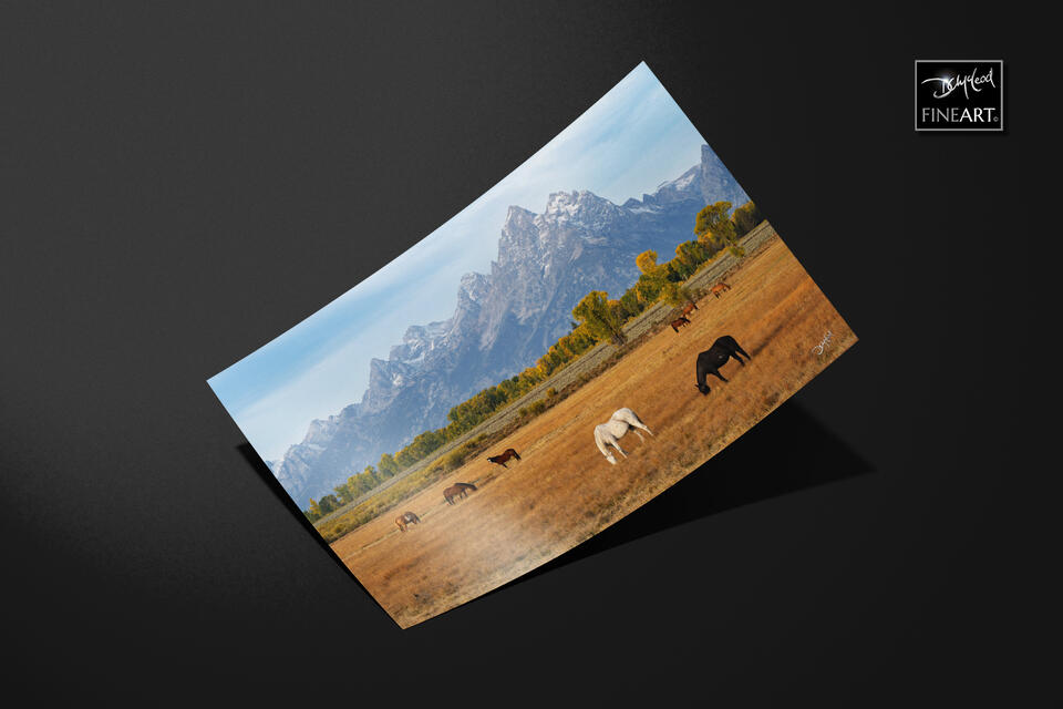 print preview