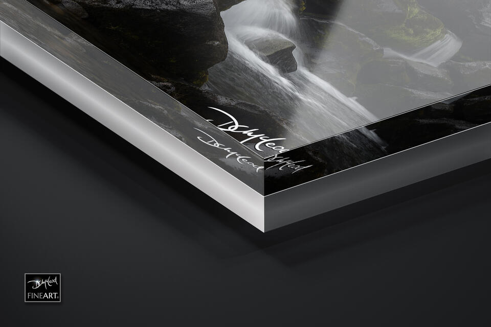  print preview